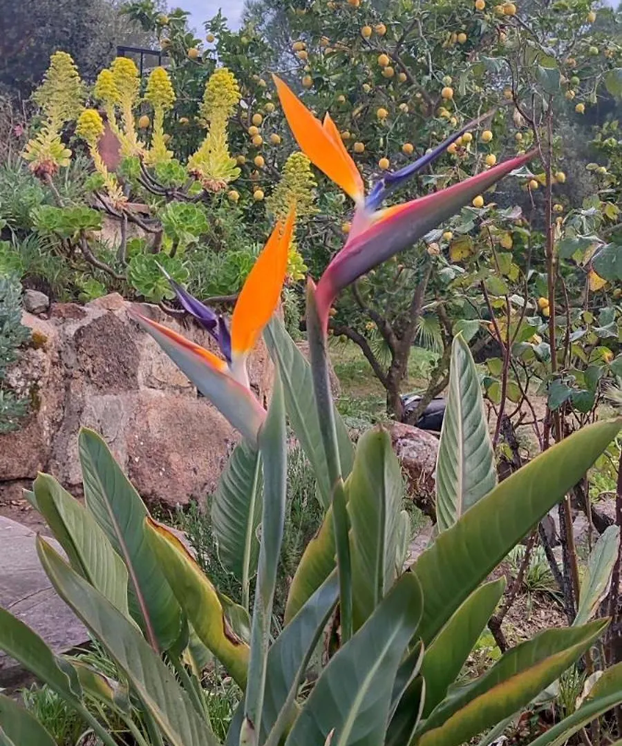 Villa Boheme Costa Brava Calonge